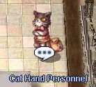 Cat Had Personnel