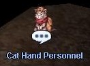 Cat Hand Personnel