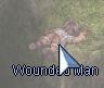 Wounded Man