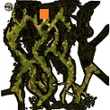 Misty Forest Labyrinth