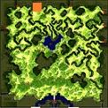 Labyrinth Forest