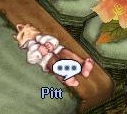 Pitt